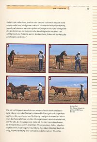Indianisches Pferdetraining - Step by Step, 3