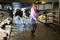 HIP: Ermittlerin mit Mords-IQ - Staffel 2 [DVD], 4