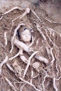 The Roots of Evil [Blu-ray], 3