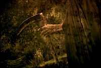 Dark Place - Stell dich deinen Dämonen! [DVD], 2