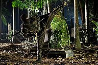 Ninja 2 - Shadow of a Tear [DVD], 2