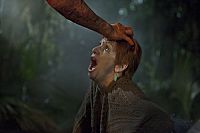 Hatchet 3 [Blu-ray 3D], 6