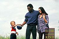 Auf der Suche nach dem goldenen Kind [DVD], 5