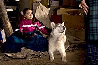 Ruf der Wildnis [DVD], 2