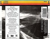 The Waterboys [CD], 1