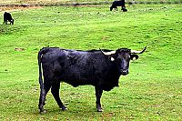 Erlebnis Natur 3D [Blu-ray 3D], 3