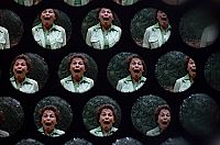 In der Gewalt der Riesenameisen [DVD], 4