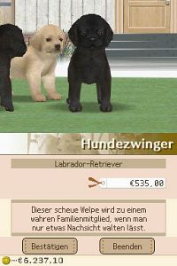 Nintendogs - Labrador & Friends [Nintendo DS], 2