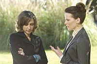 Nichts als die Wahrheit [DVD], 7