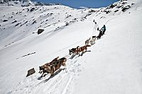 Der Husky Mann [Blu-ray], 5