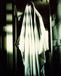 Halloween - Die Nacht des Grauens [DVD], 6