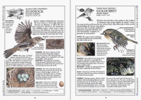 RSPB Birdfeeder Pocket Book, 3