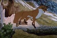 Die Hunde sind los [DVD], 3