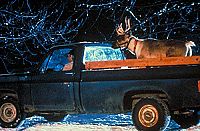 Jessica und das Rentier [DVD], 1