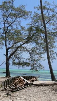 Faszination Insel - Sansibar  [DVD], 1