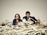 Bones - Saison 9 [DVD], 7