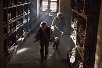 Die Hebamme [Blu-ray], 1