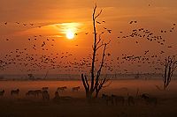 Die neue Wildnis  [Blu-ray], 5