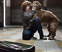 Boule & Bill [Blu-ray], 4