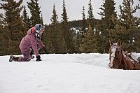 Ruf der Pferde [DVD], 8