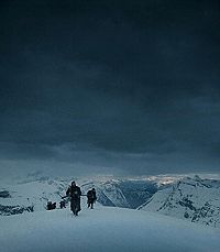 The Revenant [DVD], 2