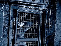 Mutants - Du wirst sie töten müssen! [Blu-ray], 2