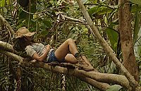 La loi de la jungle [DVD], 2