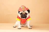 Küssen verboten [DVD], 9