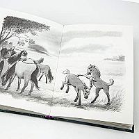 Ponyherz - Das Pferd der Prinzessin, 4