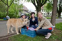 Tiere bis unters Dach - Staffel 2 [DVD], 6