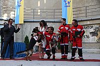 Mika - Dein bester Freund und grosser Held [DVD], 3