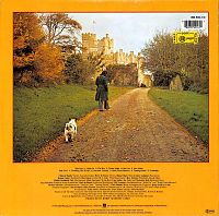 Far beyond these castle walls [Vinyl], 2