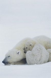 Unsere Erde [DVD], 7