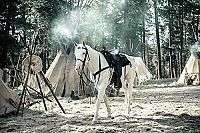 Lone Ranger - Naissance d'un héros [Blu-ray], 4