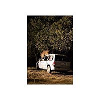 Grizzly [Blu-ray], 2