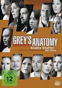 Grey's Anatomy - Staffel 7.1 [DVD], 1