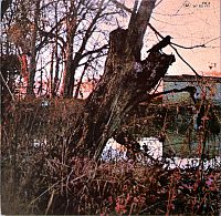 Black Sabbath [Vinyl], 1