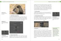 Photoshop Elements 10 für digitale Fotos , 4