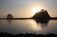 Twilight in Forks [DVD], 4