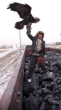 Die Stimme des Adlers [DVD], 4