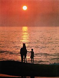 L'Etalon Noir [DVD], 3