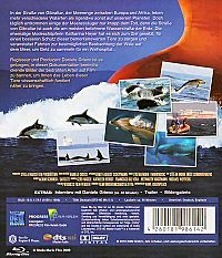 The Last Giants - Wenn das Meer stirbt [Blu-ray], 1