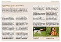 Macho oder Mimose, 4