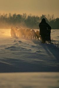 Odyssee durch Sibirien [Blu-ray], 8