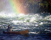 Die Abenteuer der Familie Robinson in der Wildnis [Blu-ray], 1