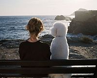 Enfin veuve [DVD], 3