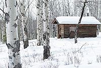 Light of my Life [Blu-ray], 5