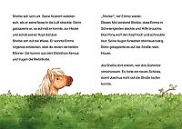 Sheltie - Wie Sheltie auf Schatzsuche ging, 2