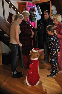 Eine tierische Bescherung [Blu-ray], 6