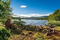 Der Junge und die Wildgänse [DVD], 6